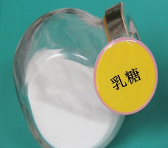 乳糖（药用辅料）（蛋白质）