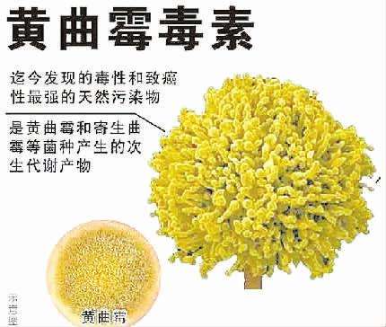 中药材、中药饮片等黄曲霉毒素检测