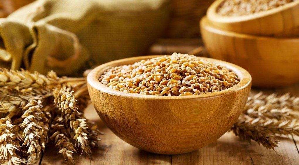 小麦满仓鉴定