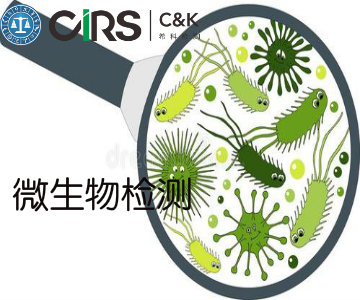 微生物检测